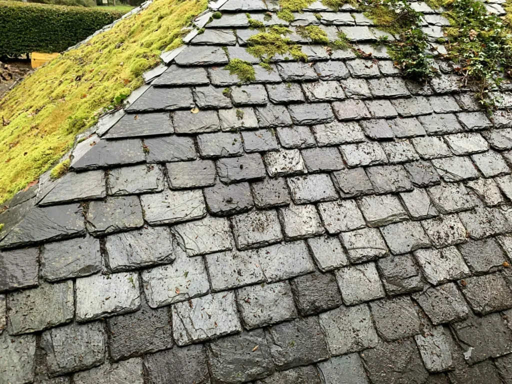 Clydebank (Kilbowie Road) roof Cleaning