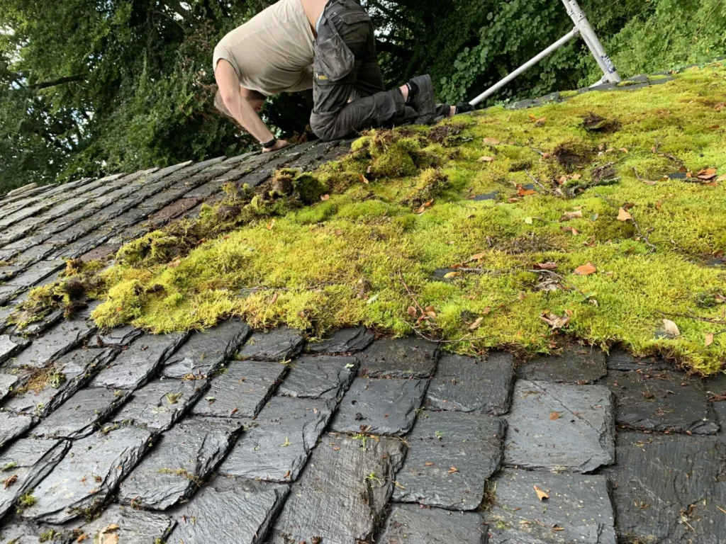 Removing moss from roof manually in glasgow